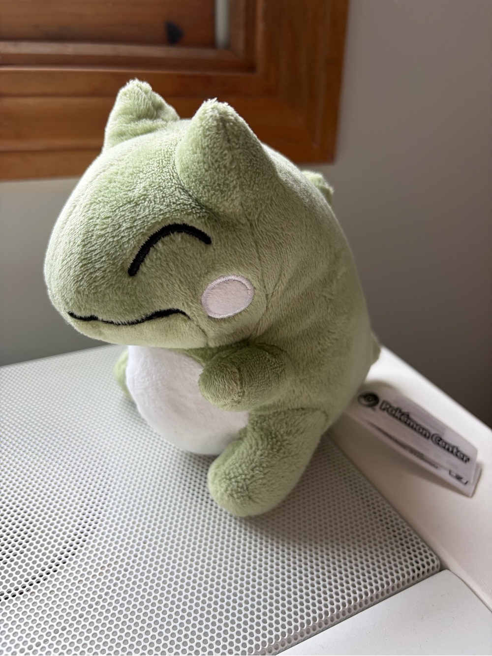 Pokemon Center Official Nintendo World Substitute Pokedoll Plush